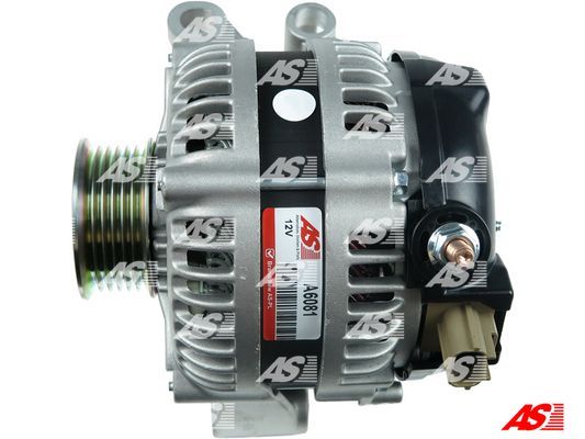 AS-PL Generaator A6081