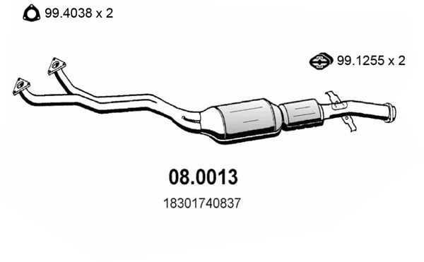 ASSO Катализатор 08.0013