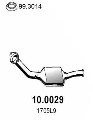 ASSO Katalüsaator 10.0029