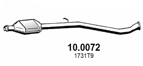 ASSO Katalüsaator 10.0072