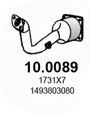 ASSO Katalüsaator 10.0089
