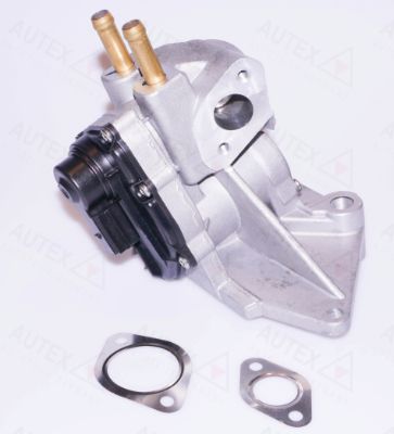 AUTEX EGR-klapp 959296