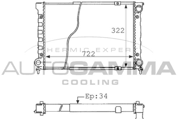 AUTOGAMMA Радиатор, охлаждение двигателя 101073