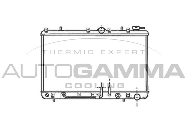 AUTOGAMMA Радиатор, охлаждение двигателя 101204