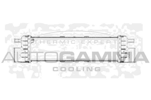 AUTOGAMMA Kompressoriõhu radiaator 102016