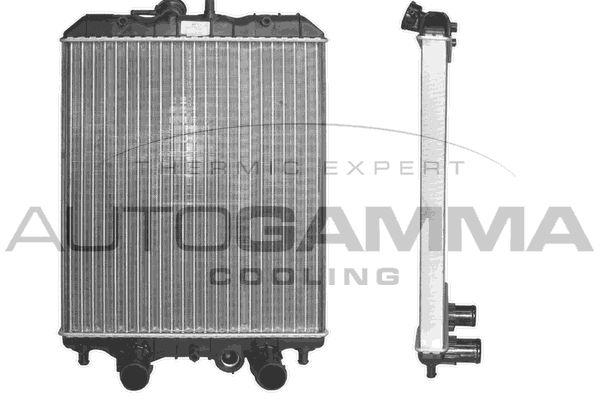 AUTOGAMMA Радиатор, охлаждение двигателя 102959