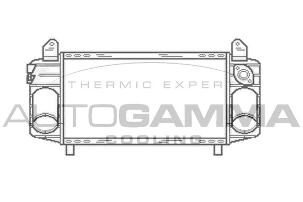 AUTOGAMMA Интеркулер 102999