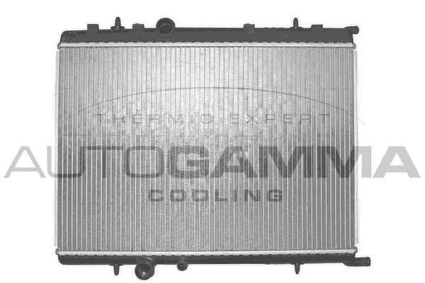 AUTOGAMMA Радиатор, охлаждение двигателя 103172
