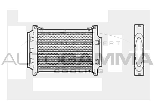 AUTOGAMMA Интеркулер 103203