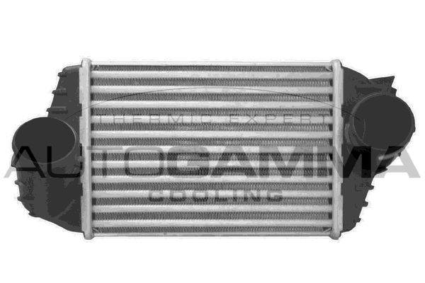 AUTOGAMMA Kompressoriõhu radiaator 103216