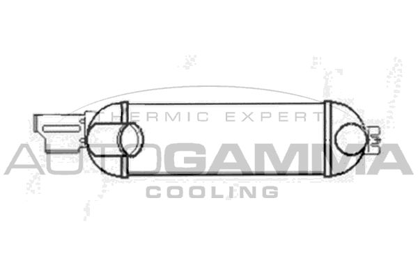 AUTOGAMMA Kompressoriõhu radiaator 103521