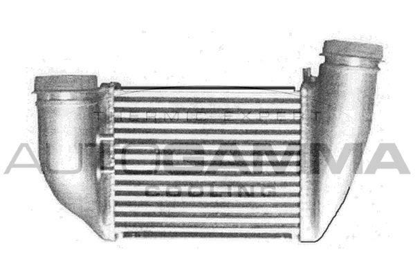 AUTOGAMMA Kompressoriõhu radiaator 103884