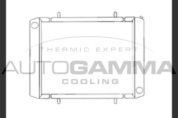 AUTOGAMMA Радиатор, охлаждение двигателя 104049