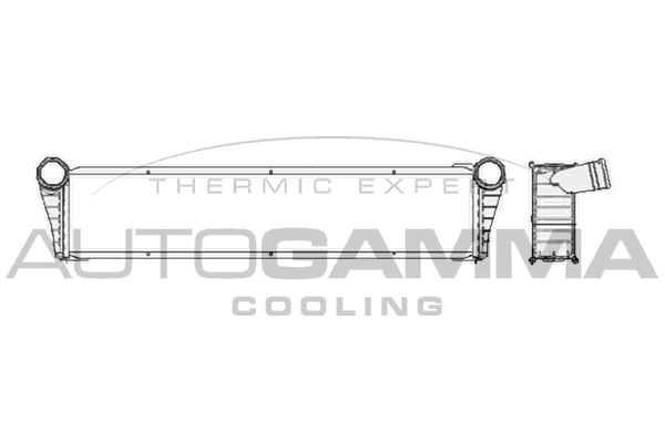 AUTOGAMMA Радиатор, охлаждение двигателя 104699