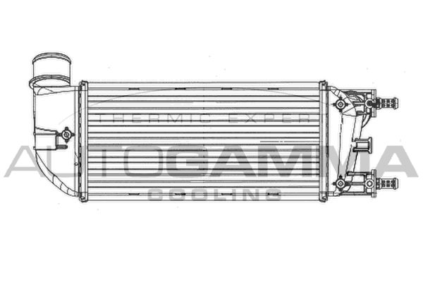 AUTOGAMMA Kompressoriõhu radiaator 105065