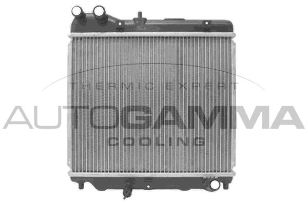 AUTOGAMMA Радиатор, охлаждение двигателя 105314