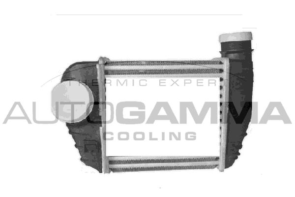 AUTOGAMMA Интеркулер 105719