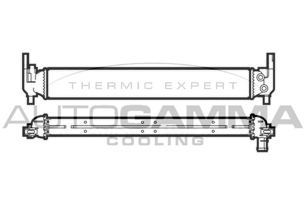 AUTOGAMMA Радиатор, охлаждение двигателя 107200