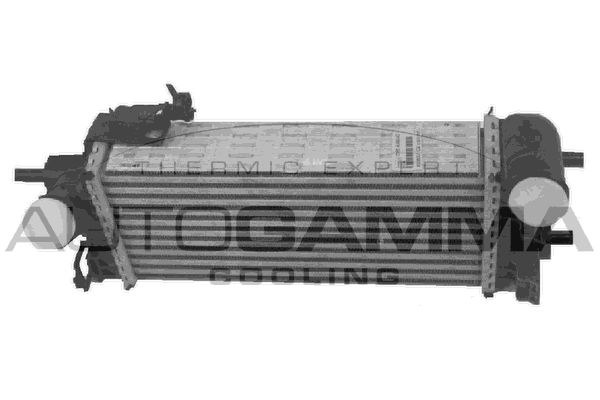 AUTOGAMMA Kompressoriõhu radiaator 107485