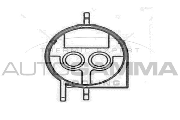 AUTOGAMMA Вентилятор, охлаждение двигателя GA200458