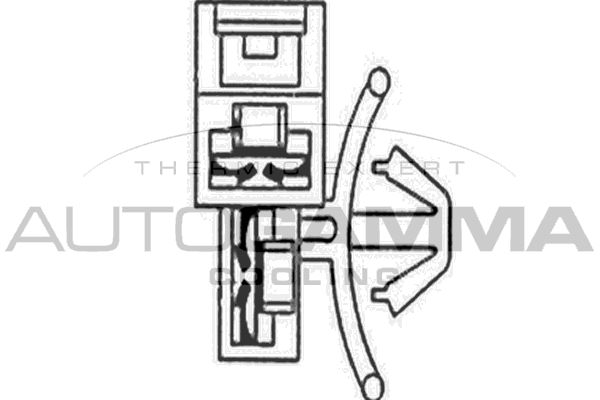 AUTOGAMMA Вентилятор, охлаждение двигателя GA200485