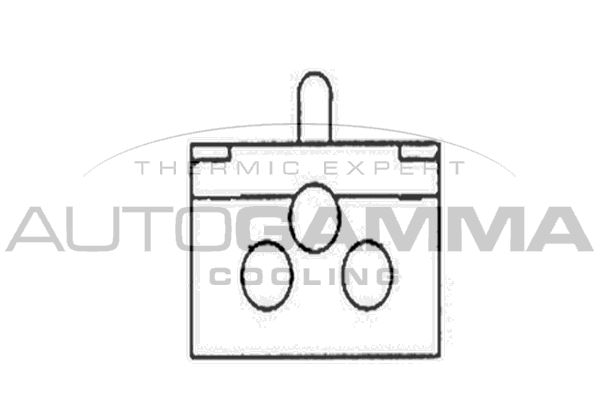 AUTOGAMMA Вентилятор, охлаждение двигателя GA201280