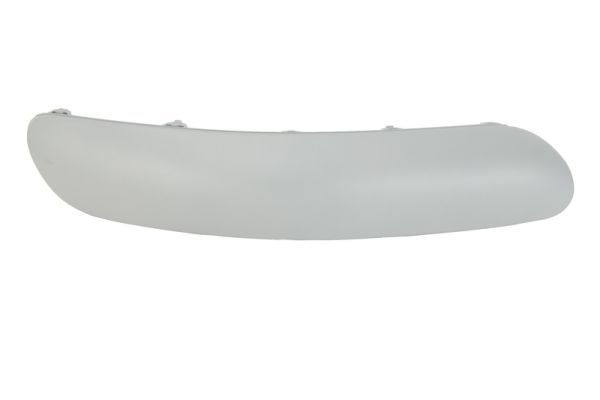 BLIC Trim/Protective Strip, bumper