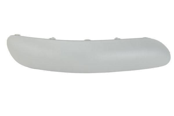 BLIC Trim/Protective Strip, bumper