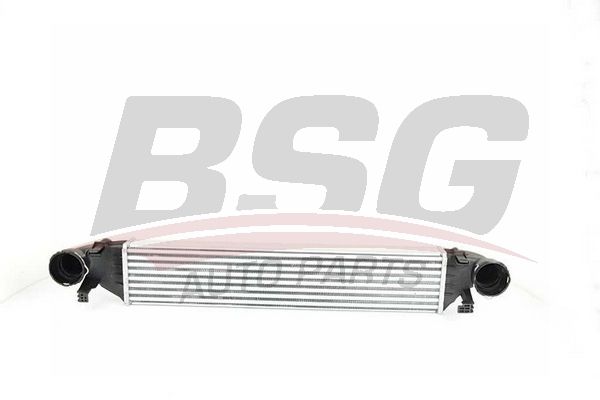BSG Kompressoriõhu radiaator BSG 60-535-001
