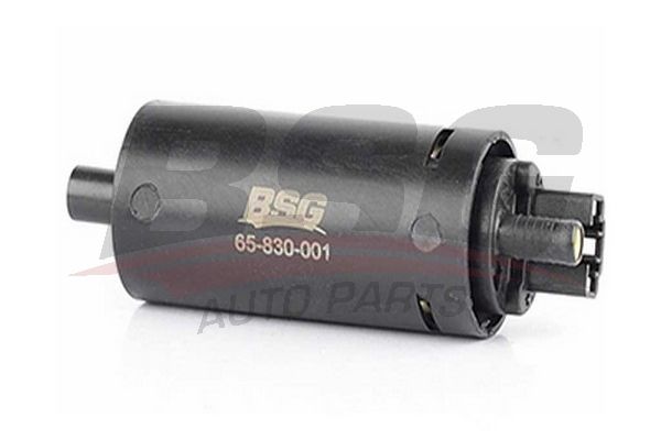 BSG Топливный насос BSG 65-830-001