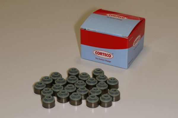 CORTECO Комплект прокладок, стержень клапана 12036840