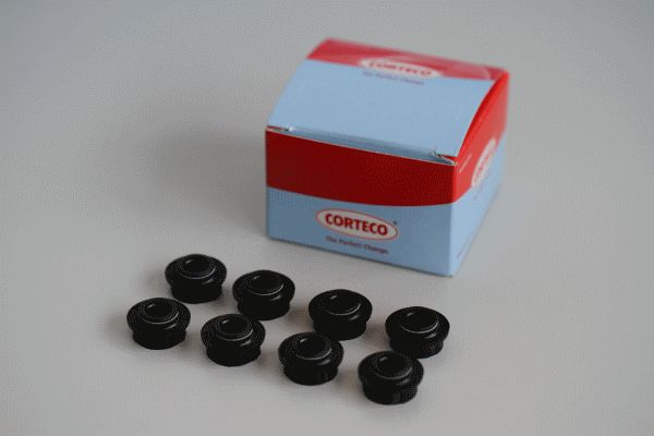 CORTECO Комплект прокладок, стержень клапана 19036122