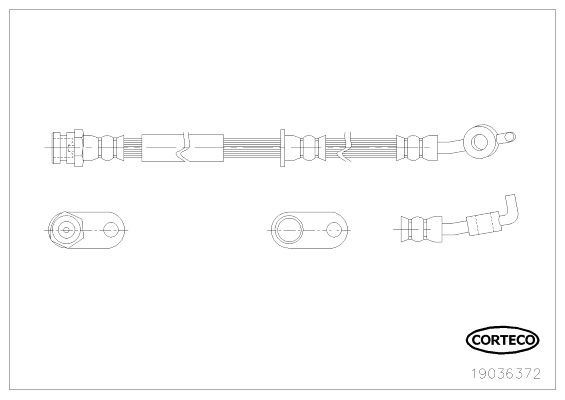 CORTECO Тормозной шланг 19036372