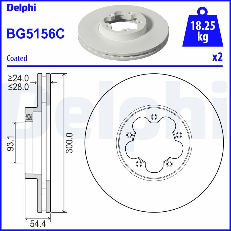 DELPHI Piduriketas BG5156C