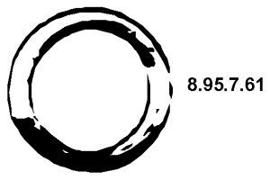 EBERSPÄCHER Уплотнительное кольцо, труба выхлопного газа 8.95.7.61