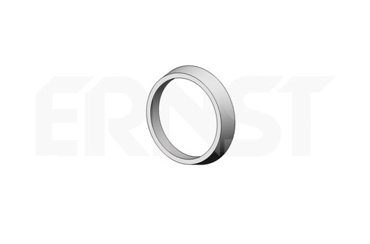 ERNST Уплотнительное кольцо, труба выхлопного газа 493956
