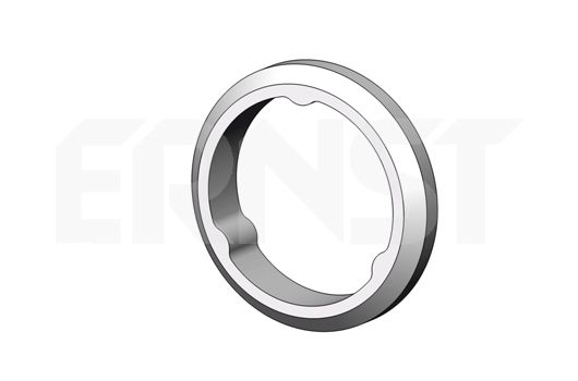 ERNST Уплотнительное кольцо, труба выхлопного газа 498715