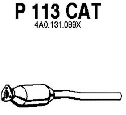 FENNO Katalüsaator P113CAT
