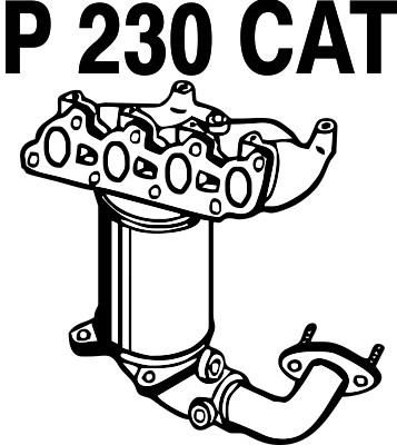 FENNO Katalüsaator P230CAT