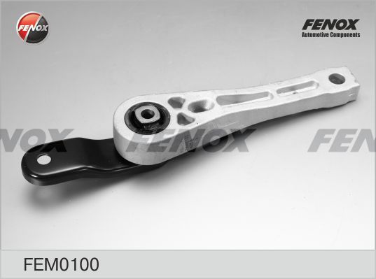 FENOX Paigutus,Mootor FEM0100