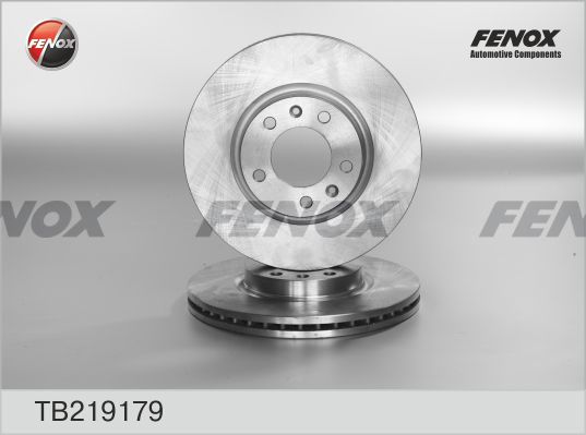 FENOX Тормозной диск TB219179