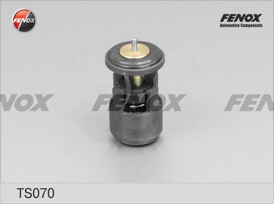 FENOX Термостат, охлаждающая жидкость TS070