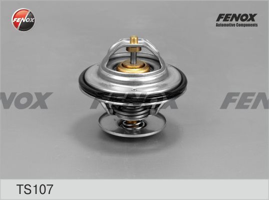 FENOX Termostaat,Jahutusvedelik TS107