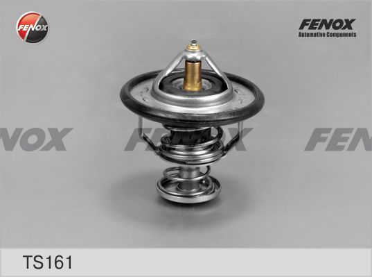 FENOX Термостат, охлаждающая жидкость TS161
