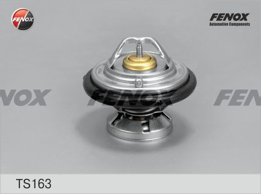 FENOX Термостат, охлаждающая жидкость TS163