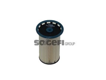 FRAM Топливный фильтр C11193ECO