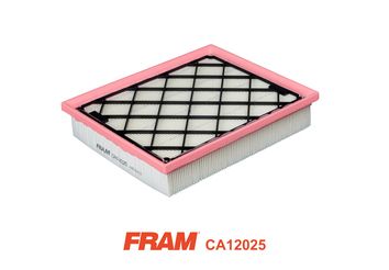 FRAM Õhufilter CA12025