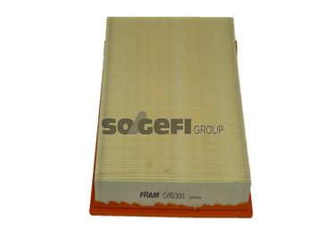 FRAM Воздушный фильтр CA5301