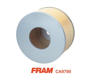 FRAM Воздушный фильтр CA9790