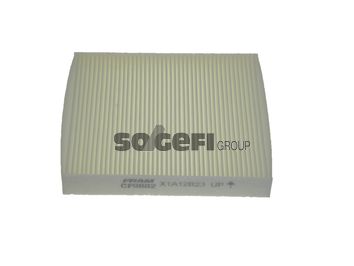 FRAM Filter,salongiõhk CF9882